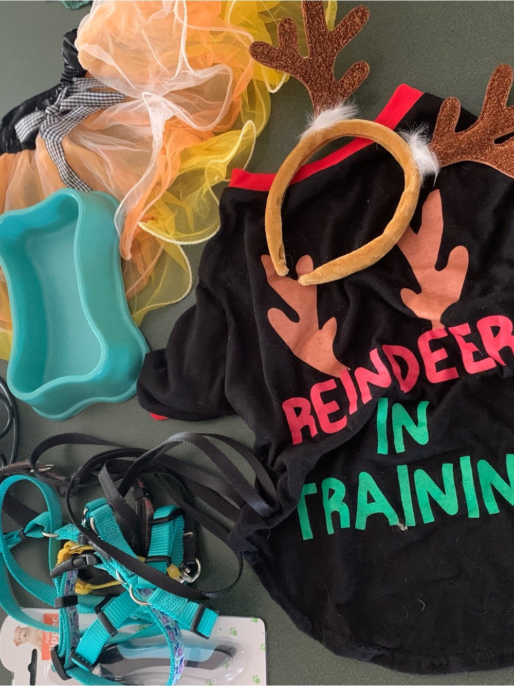 Reindeer In Training Black Holiday Pet Shirt with Antler Headband